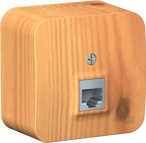 Розетка компьютерная накладная Systeme Electric Blanca 1-м. RJ45 5e ясень картинка